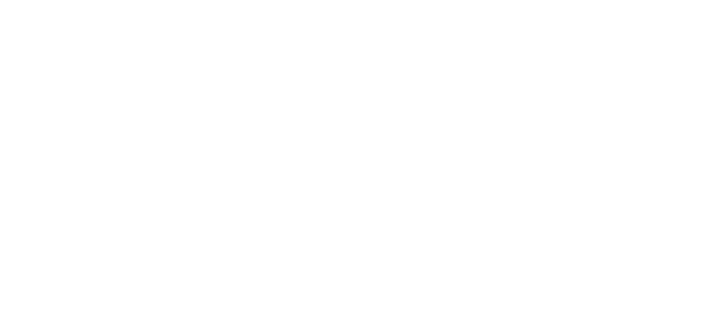 Diginauts